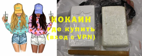 индика Аркадак