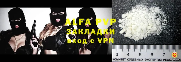 индика Аркадак