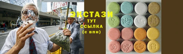 индика Аркадак