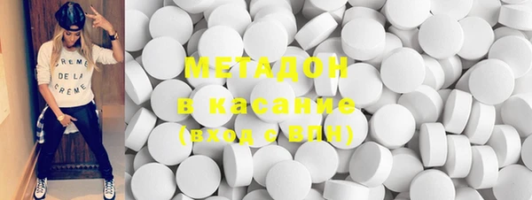 индика Аркадак
