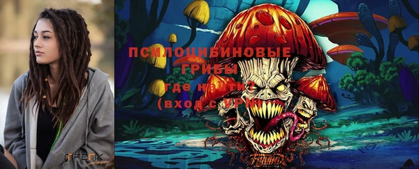 прущий лед Армянск