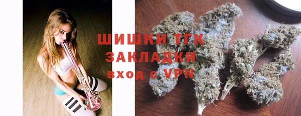 индика Аркадак