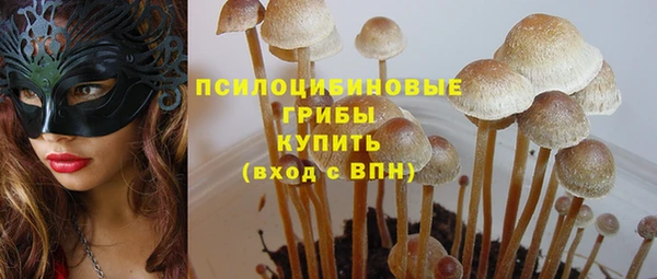 ECSTASY Арсеньев