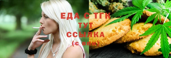 индика Аркадак